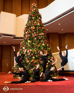 The first week of tour usually straddles Christmas. Here, in Houston, a few dancers add ornamentation to the Christmas tree. (Photo by projectionist Annie Li)